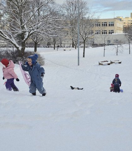 Zimowa radość5.jpg